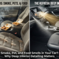 Smoke, Pet, and Food Smells in Your Car? Why Deep Interior Detailing Matters